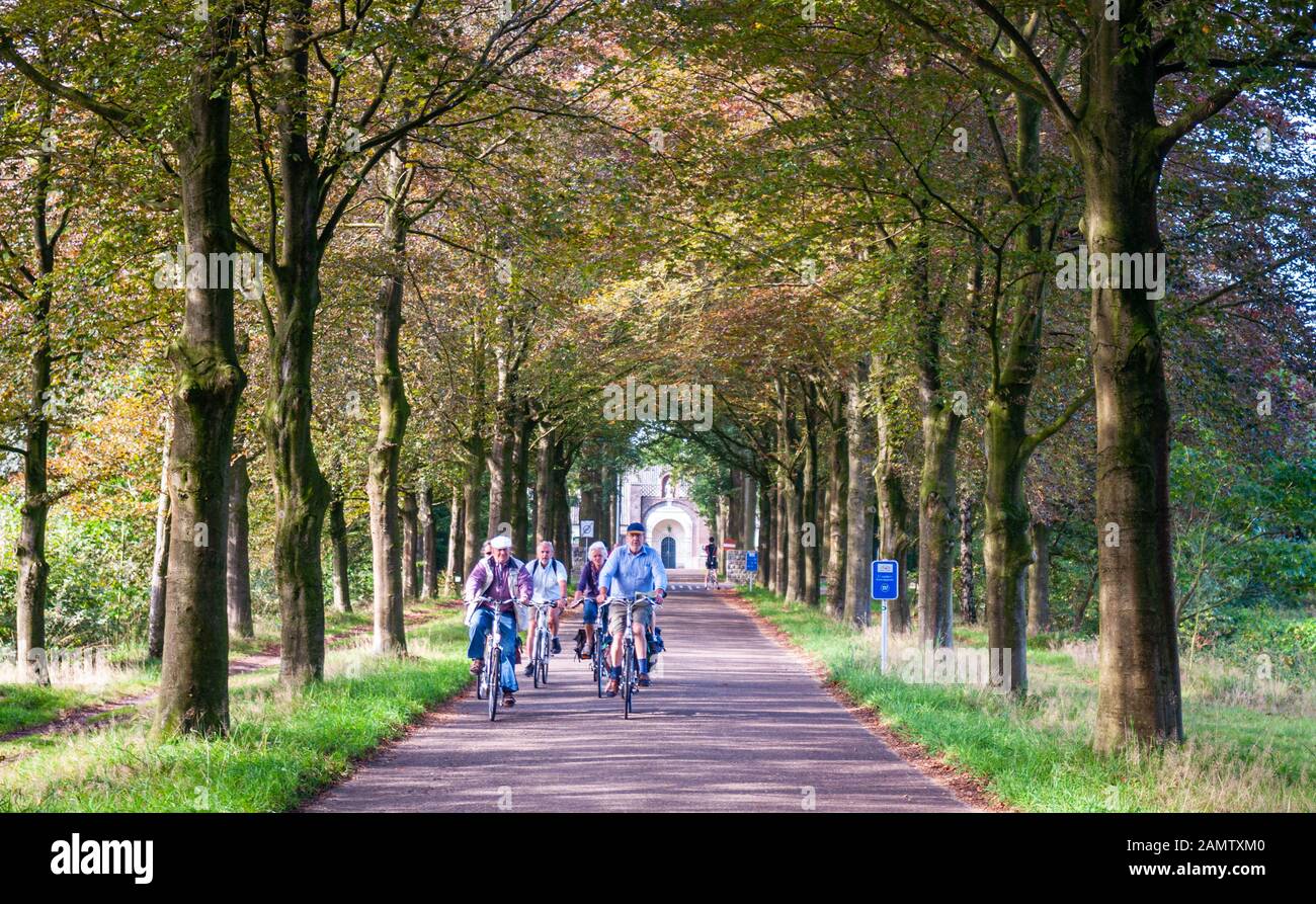 Leende, Netherlands - September 26, 2011: A group of older cyclists ride through an avenue of trees at Achel Abbey on the border of Belgium and the Ne Stock Photo