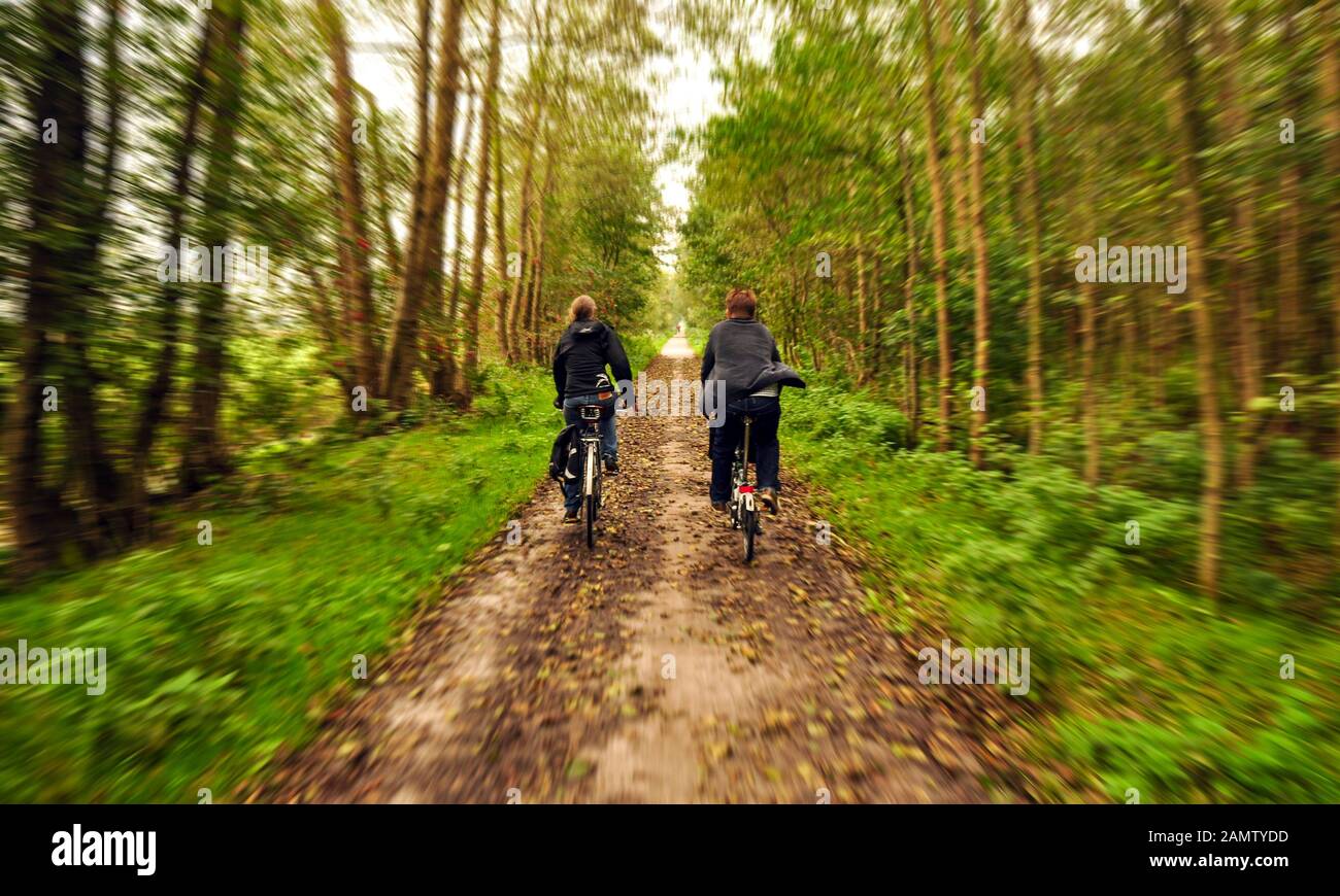 Assen, Netherlands - September 20, 2011: A pair of cyclists ride on a cycle path through woodland in Drenthe in the Netherlands. Stock Photo