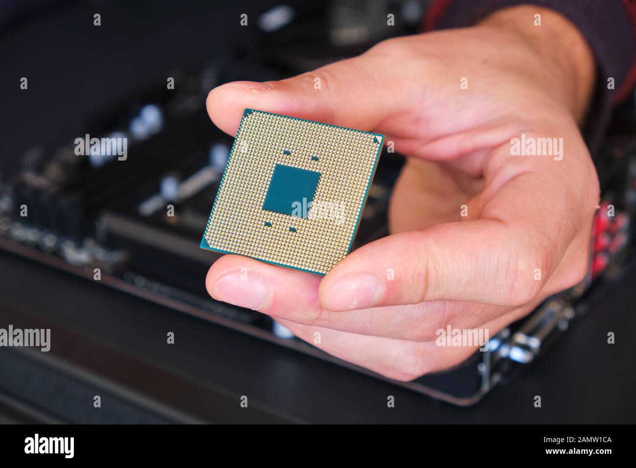 Computer chip (CPU) held by a man with his fingers - close up of the pins grid. Stock Photo