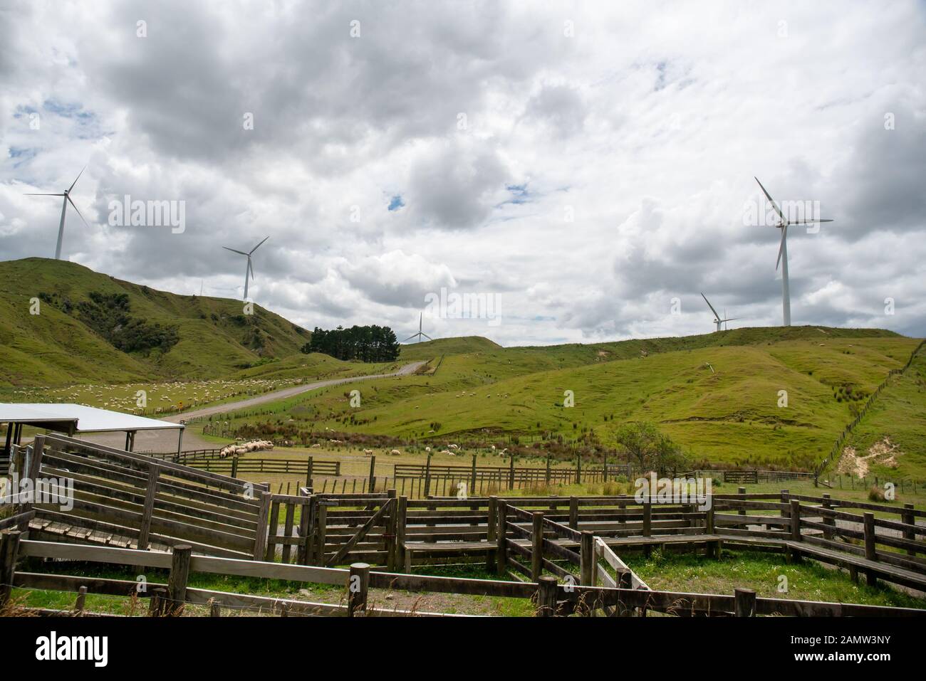 Rural  agricultural view of a sheep farm and its sheep and cattle yards on the  hills and valleys with electricity generating wind turbines on the pea Stock Photo