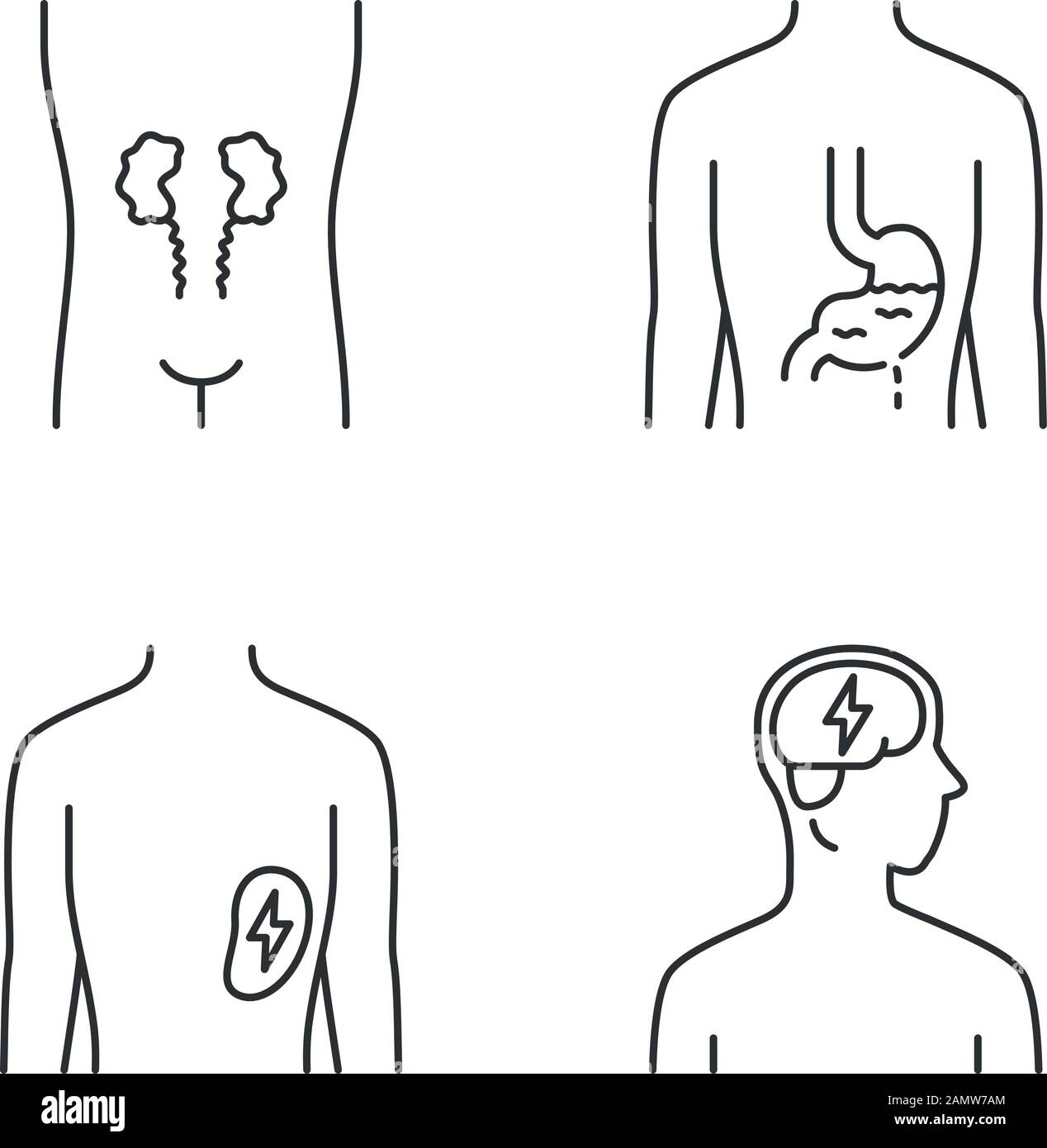 Ill human organs linear icons set. Sore kidneys and spleen. Aching ...