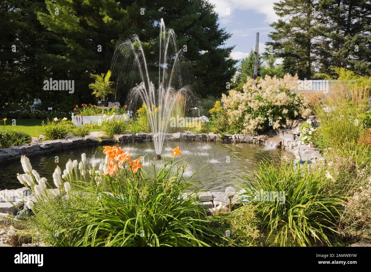 Pond with water fountain bordered by white Liatris spicata - Blazing star, orange Hemerocallis - Daylily, Persicaria polymorpha - Giant Fleece flowers Stock Photo