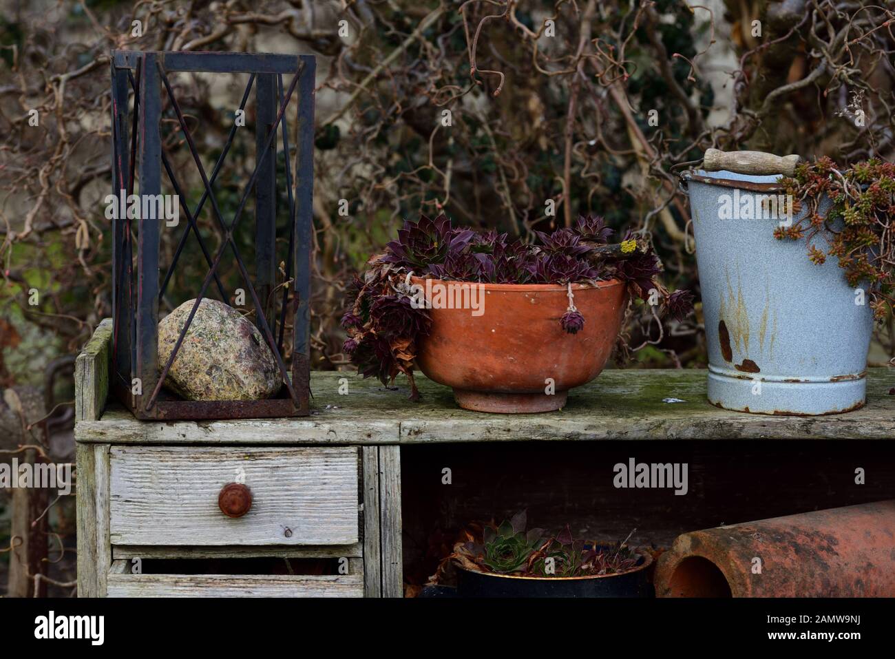 Still life in autumn with an old wooden desk with drawers, standing outside outdoors with pots and plants Stock Photo