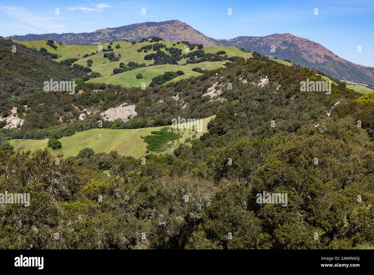 Hillsides of Morgan Territory Regional Preserve, an East Bay Regional Park located in California's Contra Costa County at the base of Mount Diablo. Stock Photo