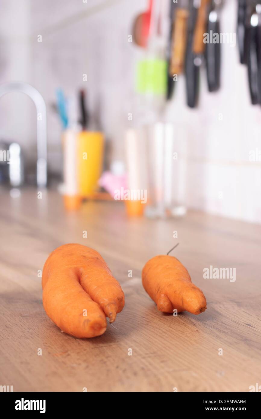 Trendy ugly misshapen root vegetable on kitchen worktop Stock Photo