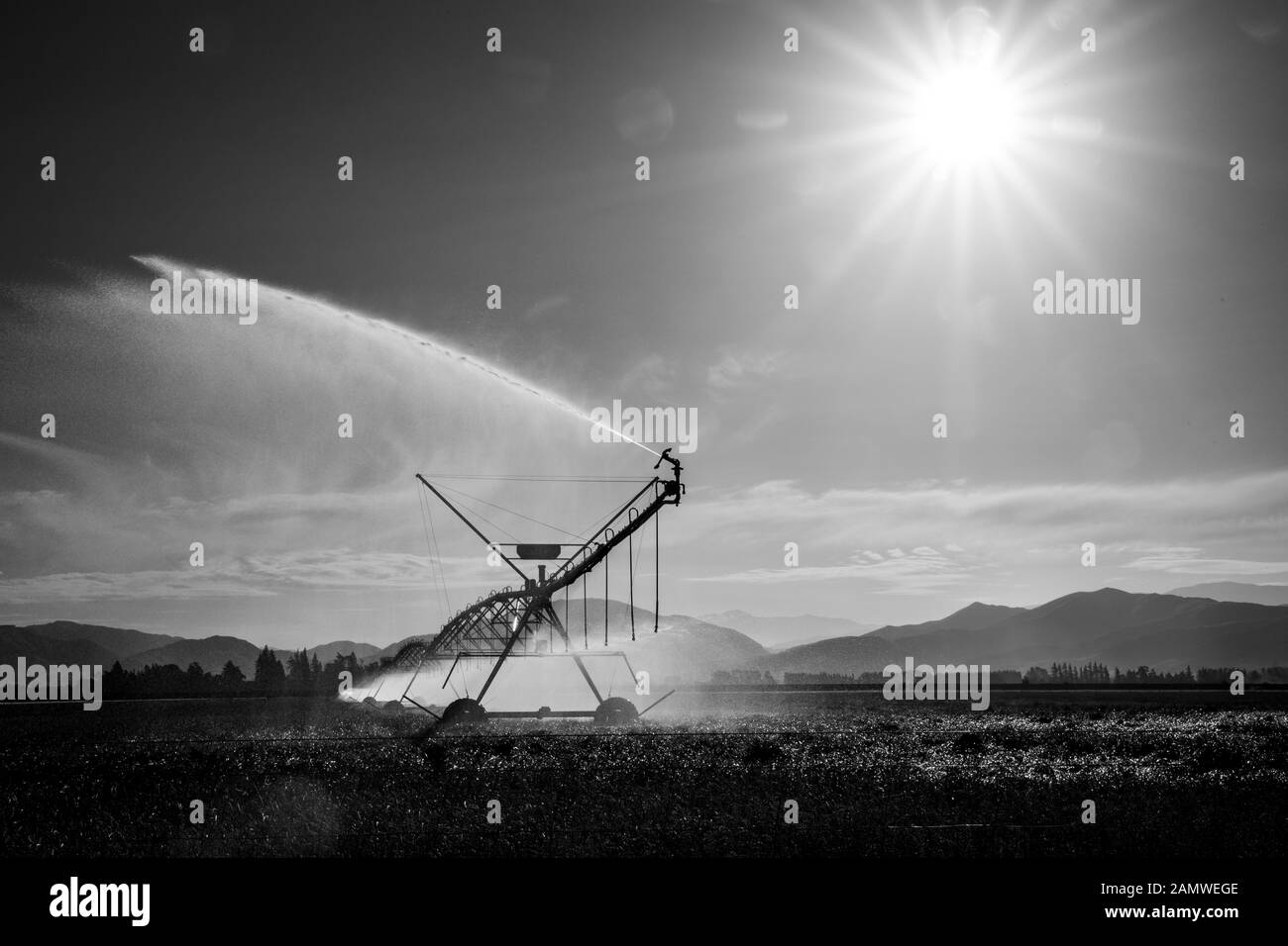 An irrigator sprays water high into the air over farm crops in the late afternoon sun Stock Photo