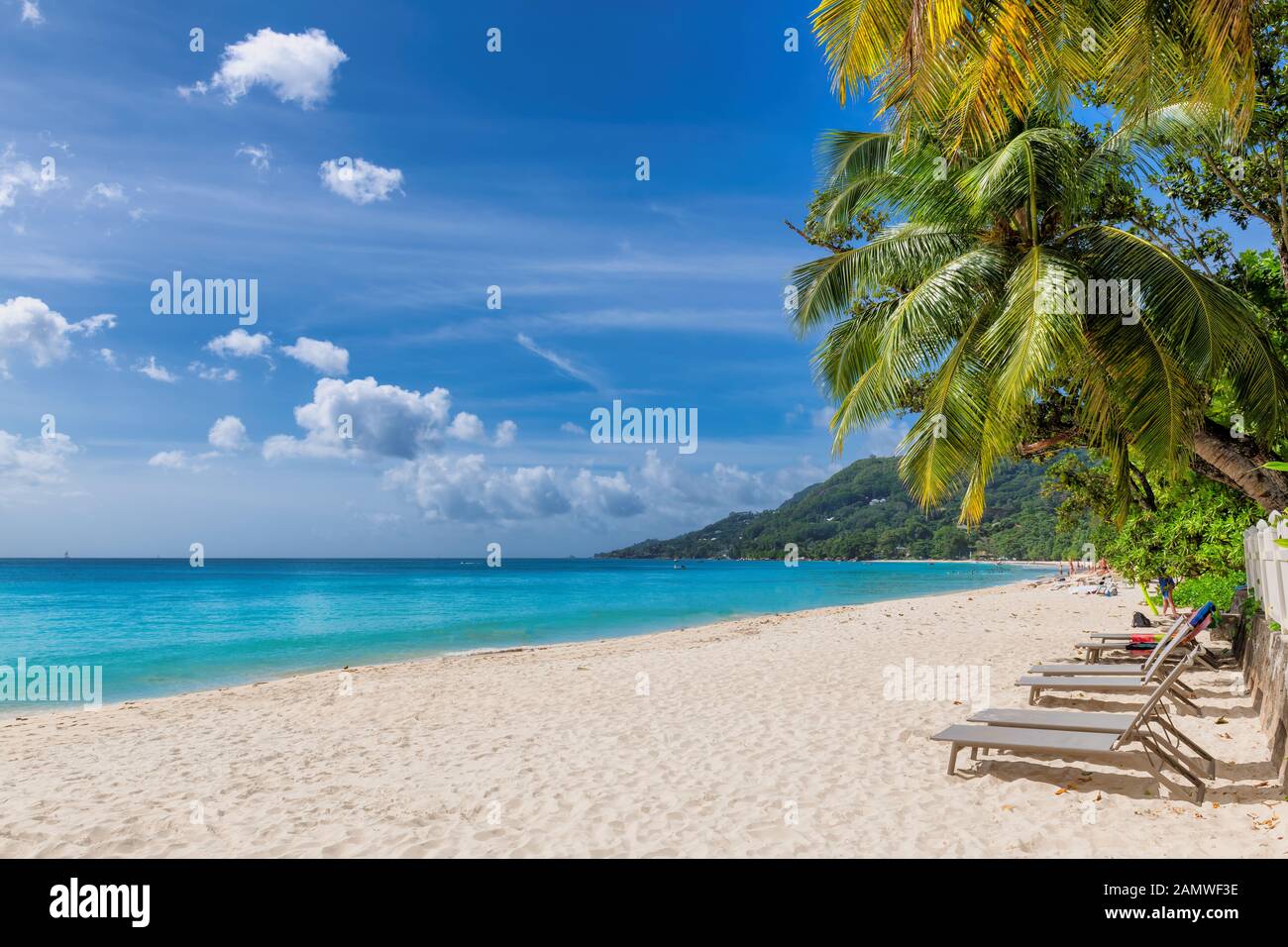 Beautiful Anse Beau Vallon beach with coconut palm tree on Mahe island, Seychelles. Stock Photo