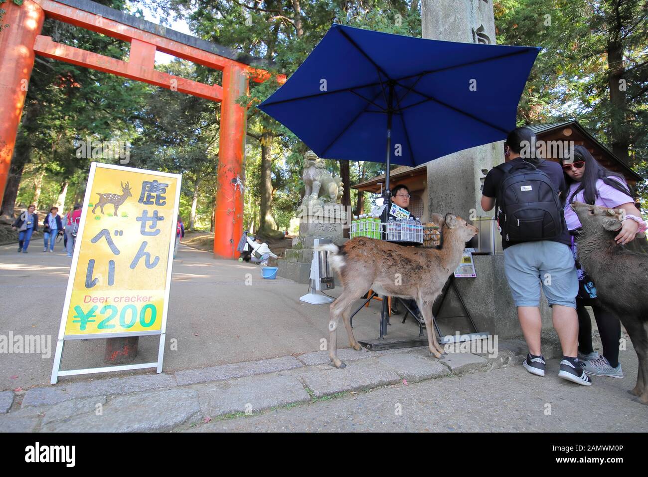 Unidentified people buy deer crackers at Nara park Nara Japan Stock Photo