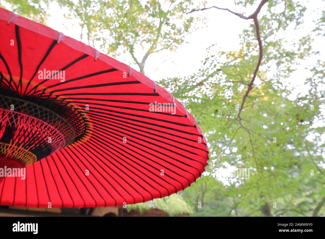 Japanese traditional red parasol umbrella Japan Stock Photo