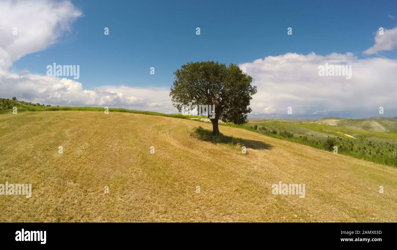 Aerial view single tree standing hi-res stock photography and images ...