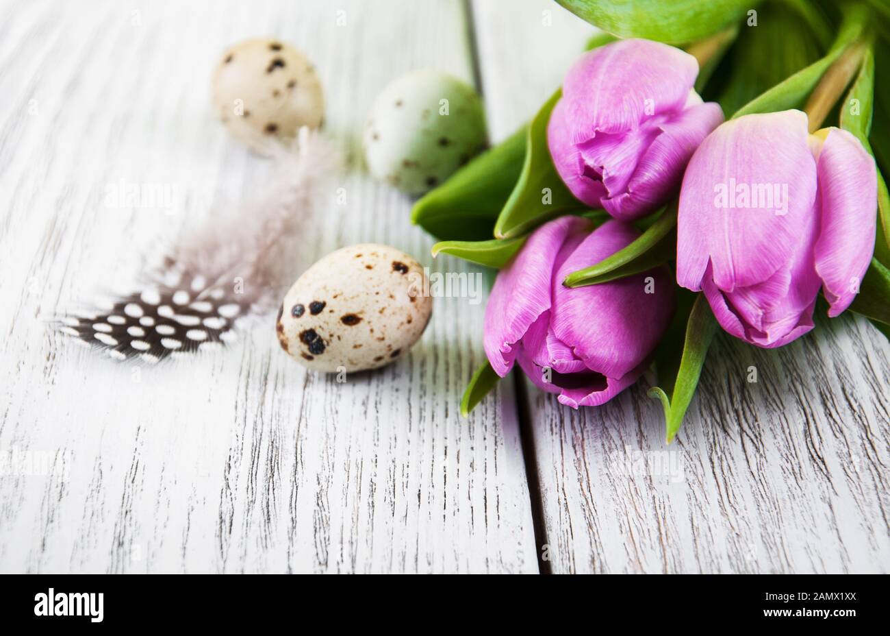 easter background with eggs and pink tulips Stock Photo - Alamy