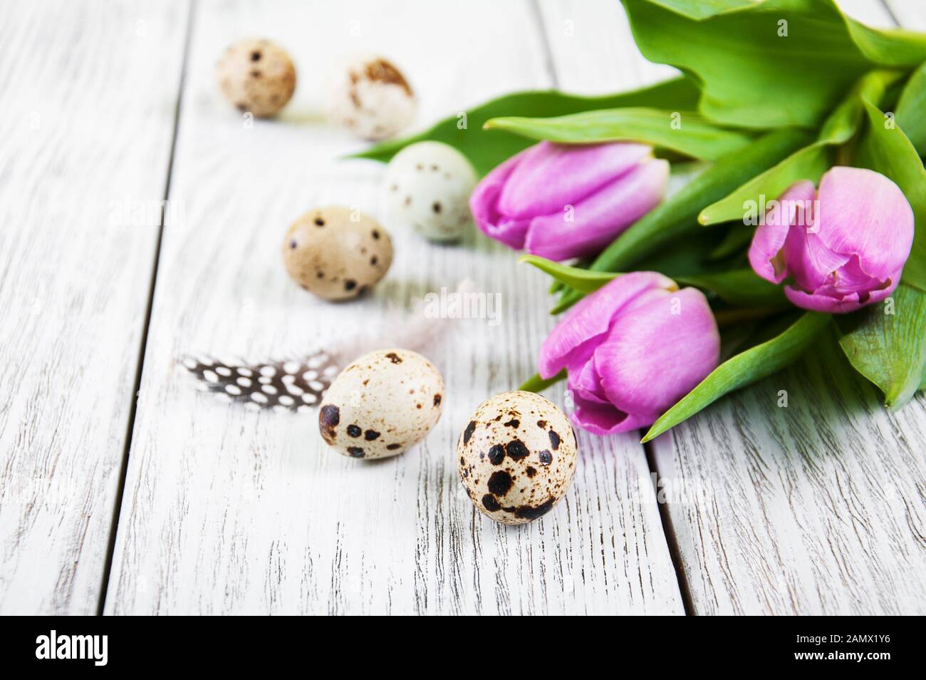 easter background with eggs and pink tulips Stock Photo - Alamy