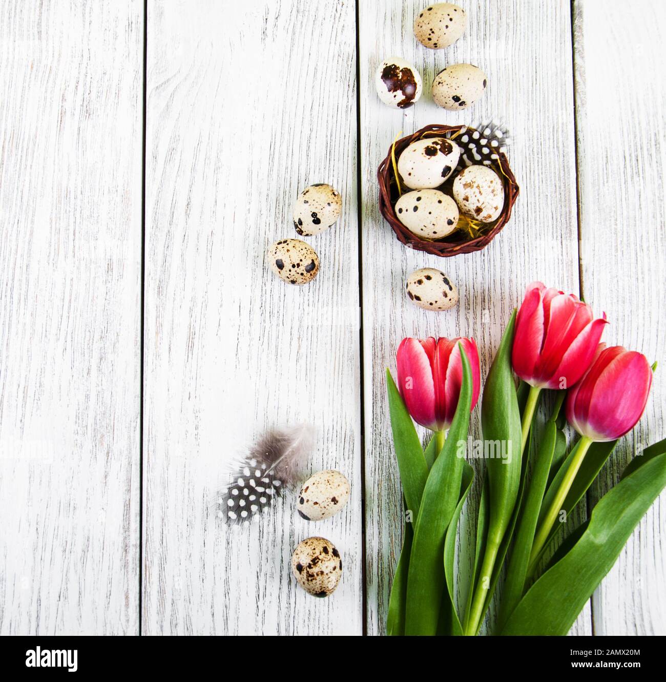 easter background with eggs in nest and pink tulips Stock Photo - Alamy