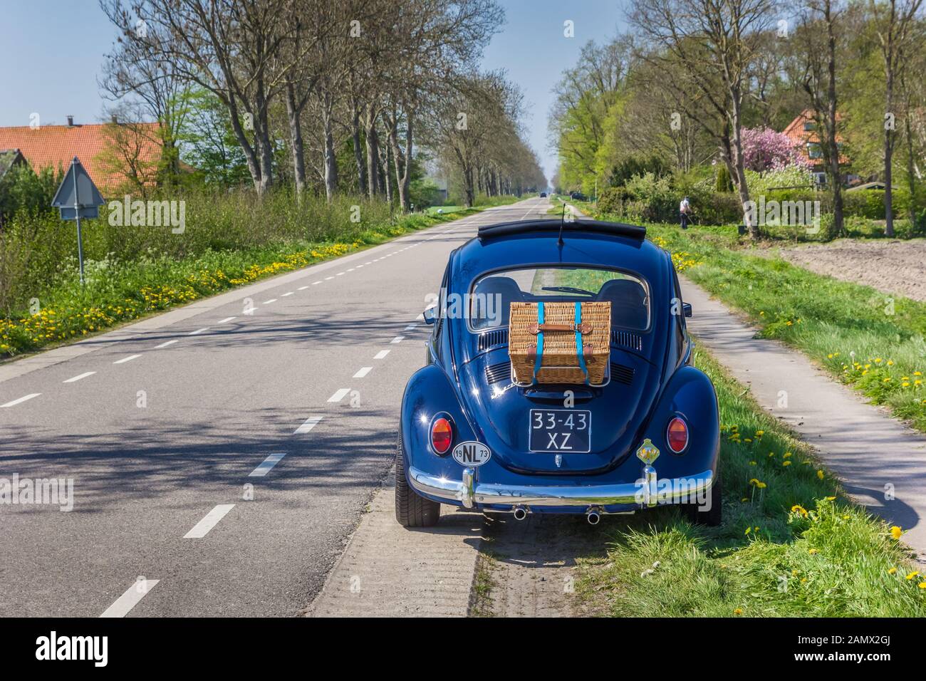 Classic blue Volkswagen beetle on a country road in The Netherlands Stock Photo
