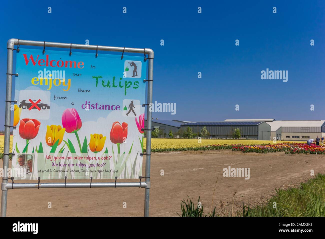Welcome sign to the tulip fields in Noordoostpolder, Netherlands Stock Photo