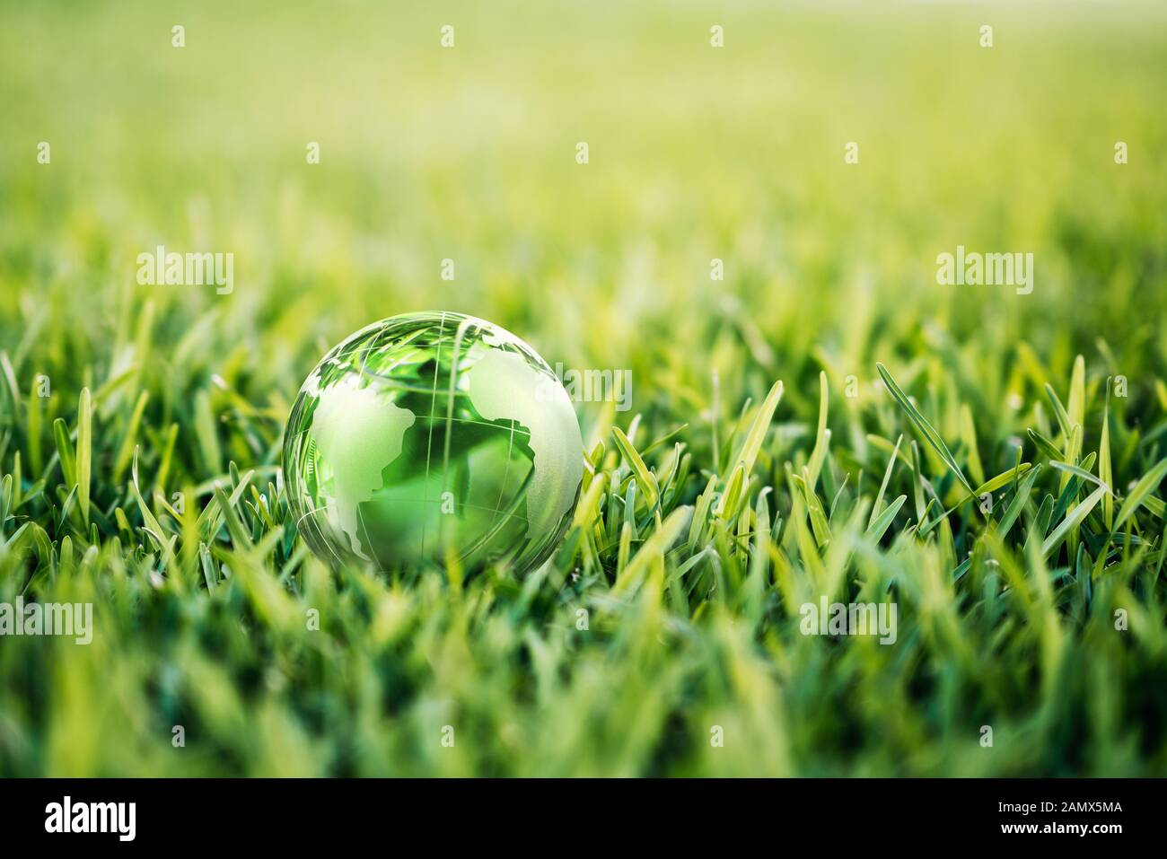 tree wasted plastic bottle in shape of the symbol of recycling on green background Stock Photo