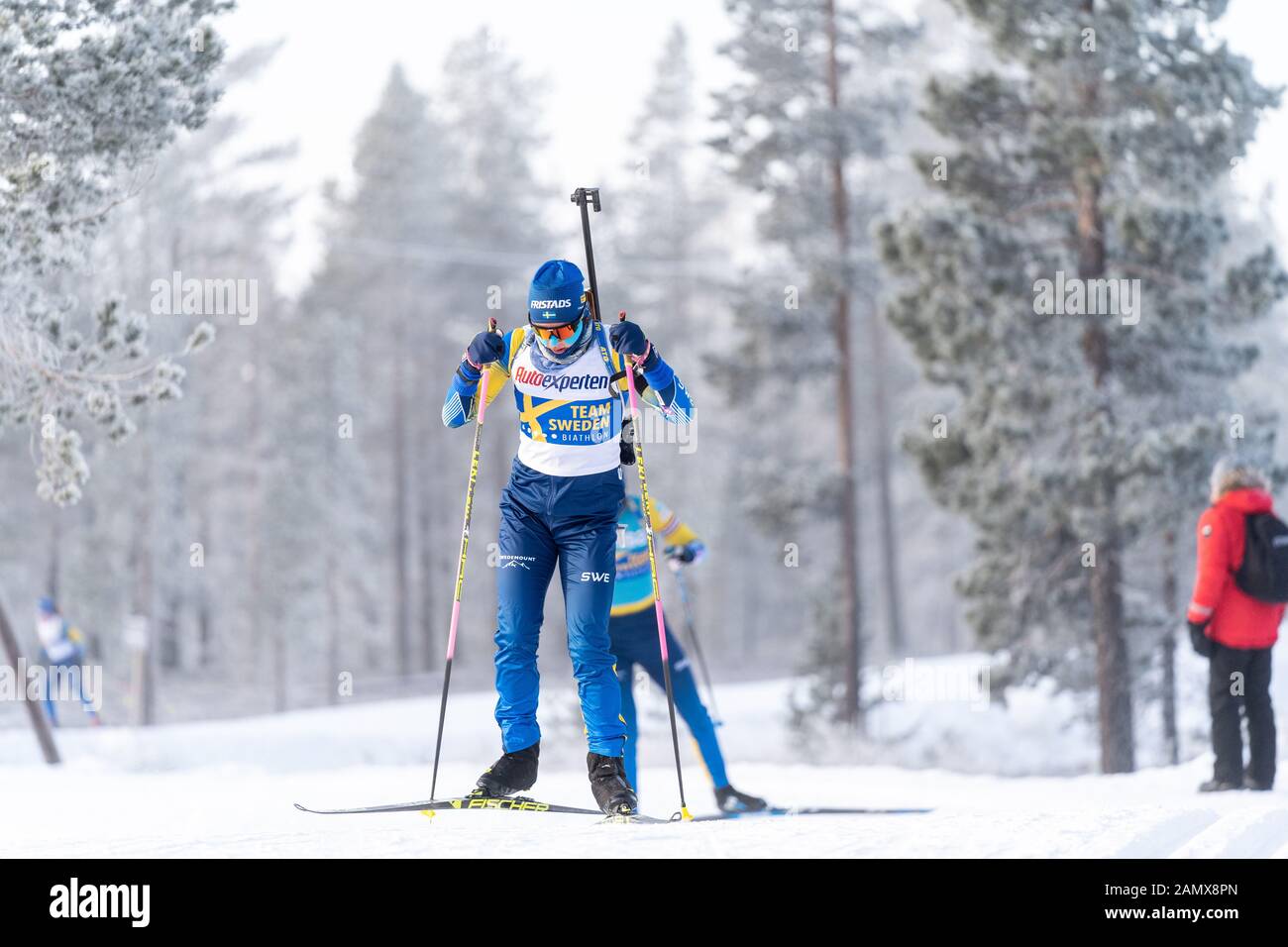 Swedish Biathletes Training in Winter at Idre Fjäll Stock Photo