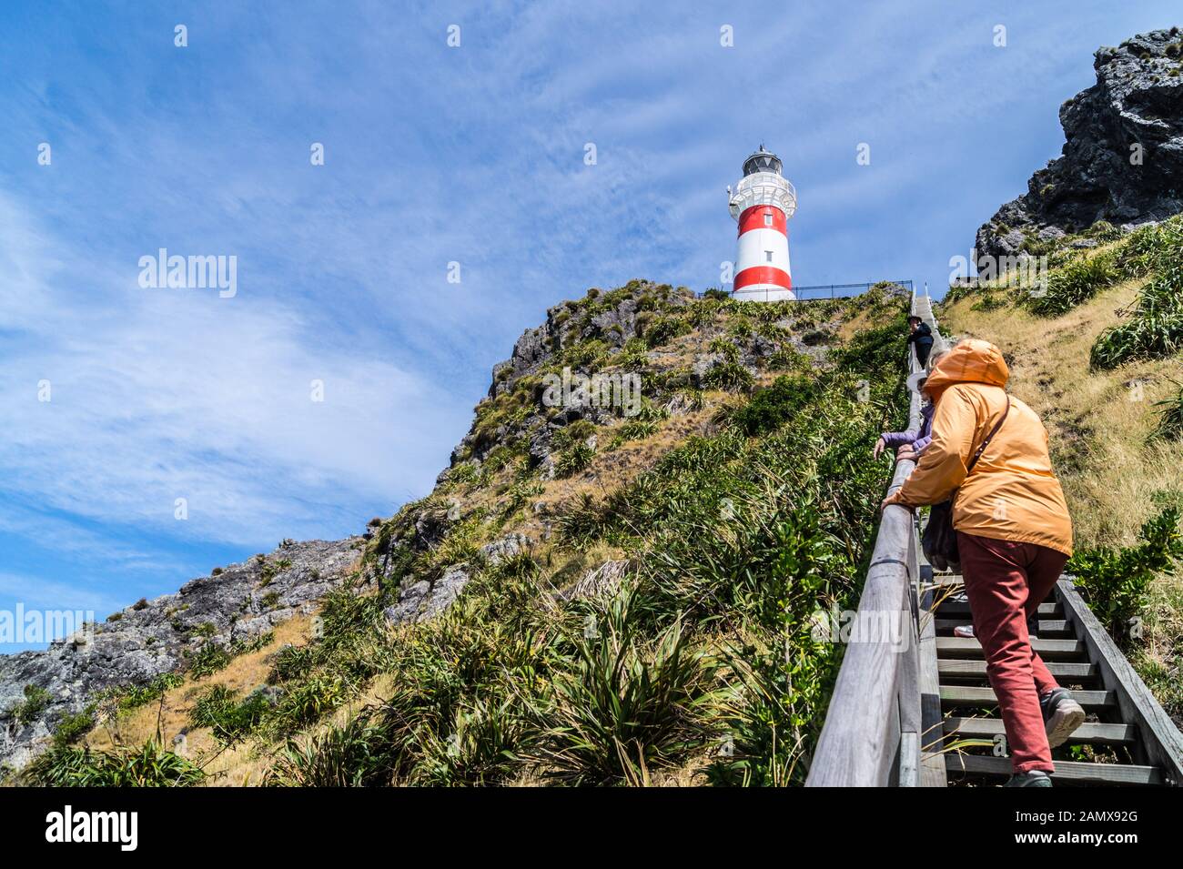 Women climbing the wooden staircase to Cape Palliser Lighthouse, 1897, Wairarapa, North Island