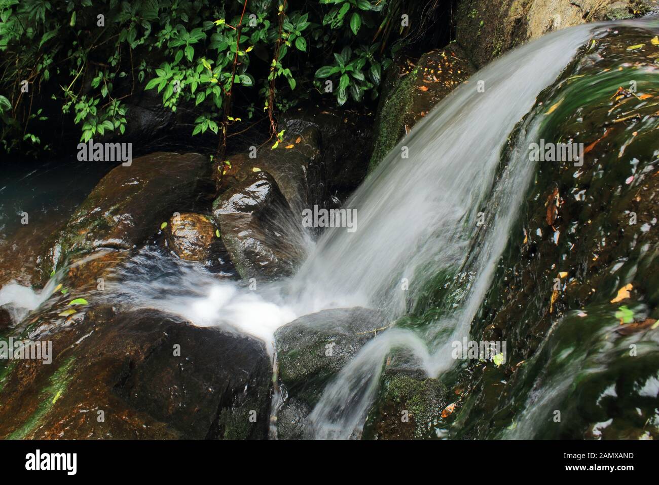 beautiful vattakanal waterfalls on levinge stream at kodaikanal, tamilnadu in india Stock Photo