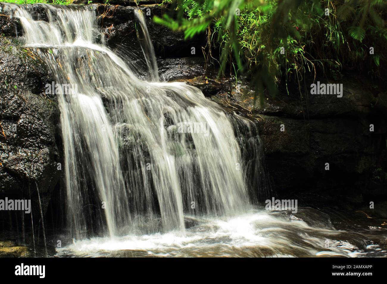 beautiful vattakanal waterfalls on levinge stream at kodaikanal, tamilnadu in india Stock Photo