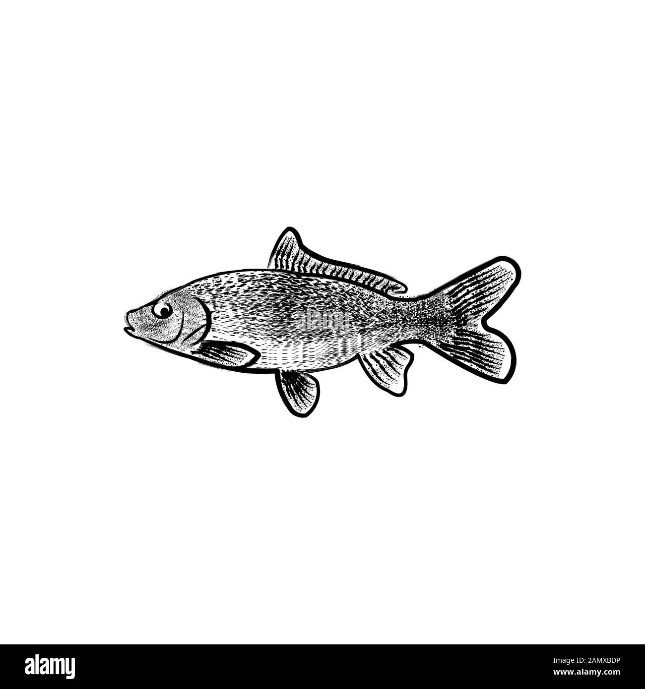 Hand Drawn Poke fish Logo Ideas. Inspiration logo design. Template Vector Illustration. Isolated On White Background Stock Vector
