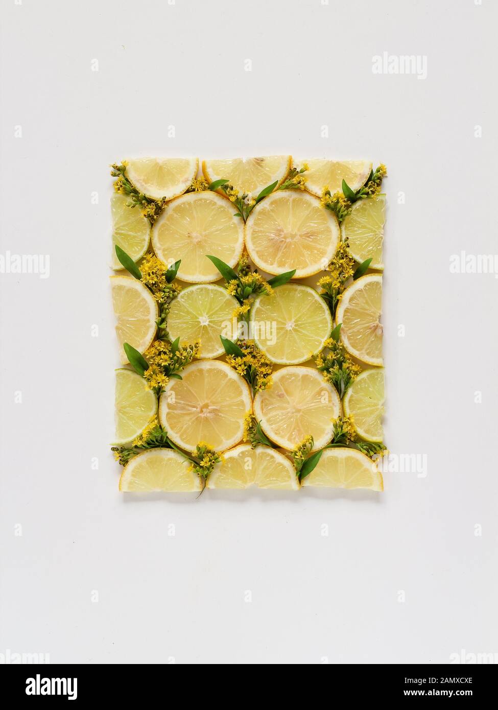 Lemon slices and yellow flowers flat lay style with a copy space. Lemon pattern. Fruit pattern, citrus background. Yellow lemon wallpaper Stock Photo