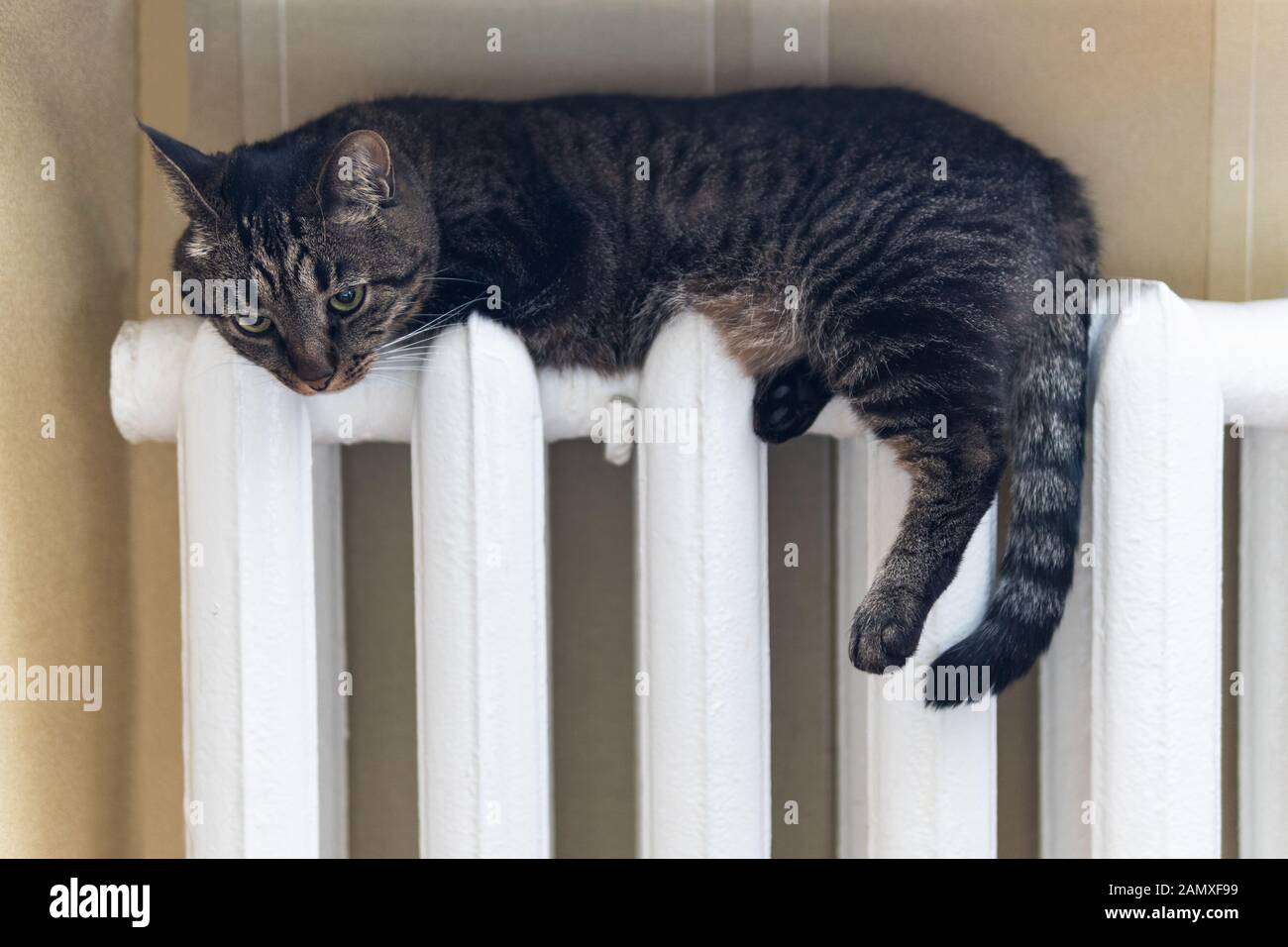 Communal heating hires stock photography and images Alamy