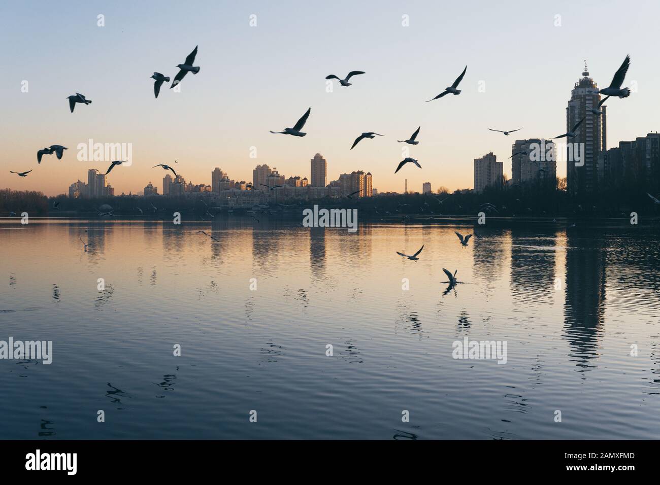 Sunset view of Obolon embankment in Kyiv, Ukraine. Birds flying on the foreground, reflection in water Stock Photo