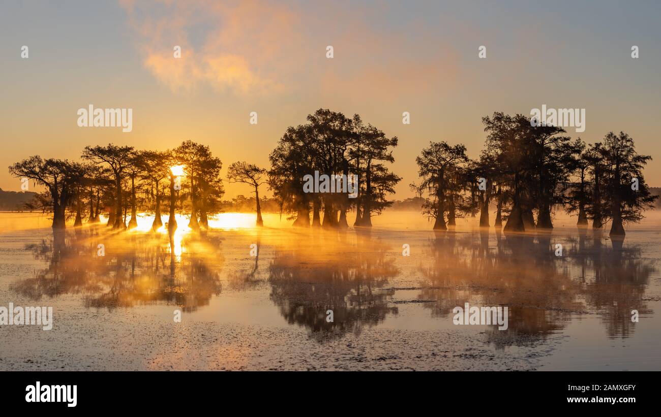 This is the picture of sunrise at Caddo Lake Texas, Louisiana, USA Stock Photo