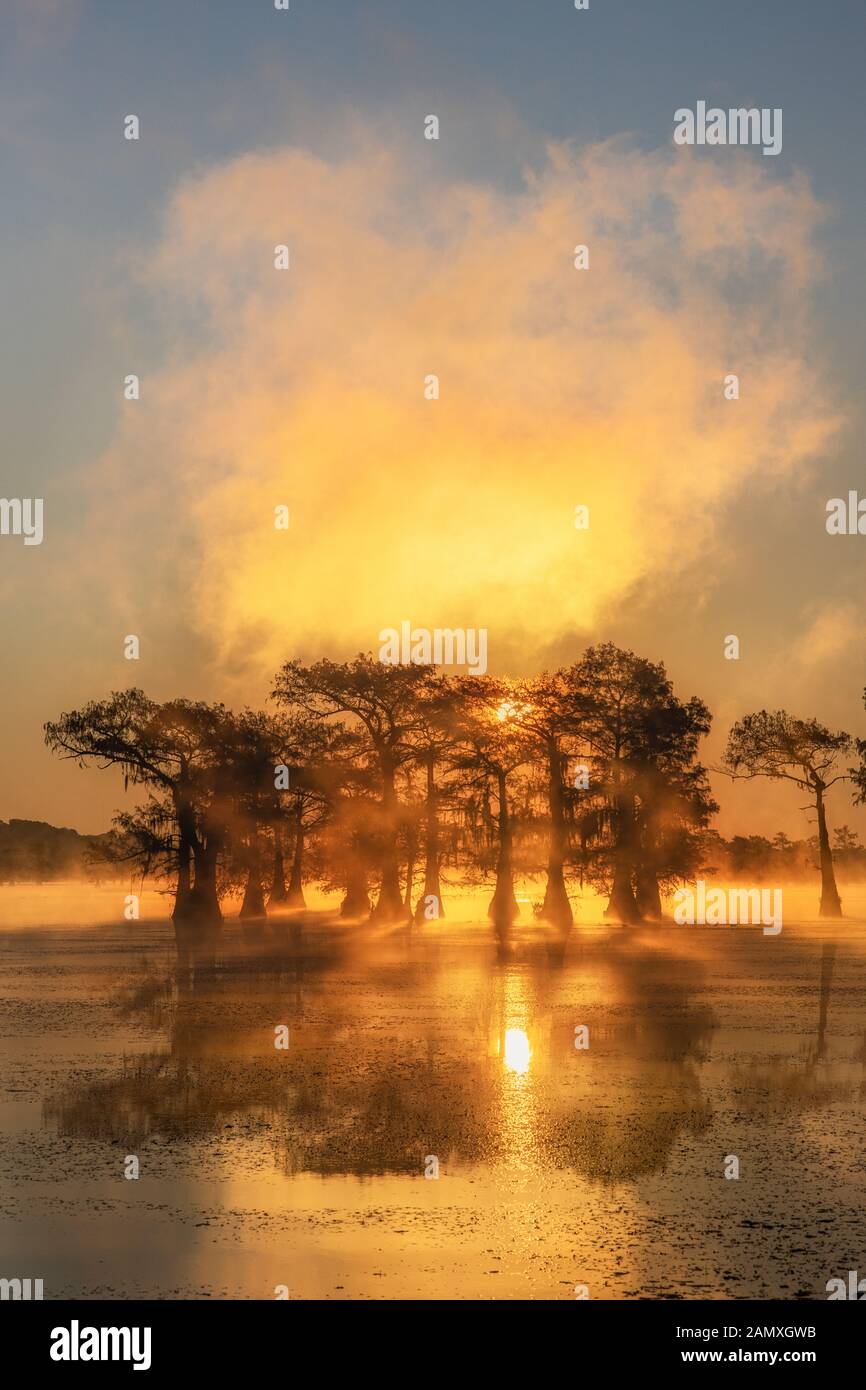This is the picture of sunrise at Caddo Lake Texas, Louisiana, USA Stock Photo