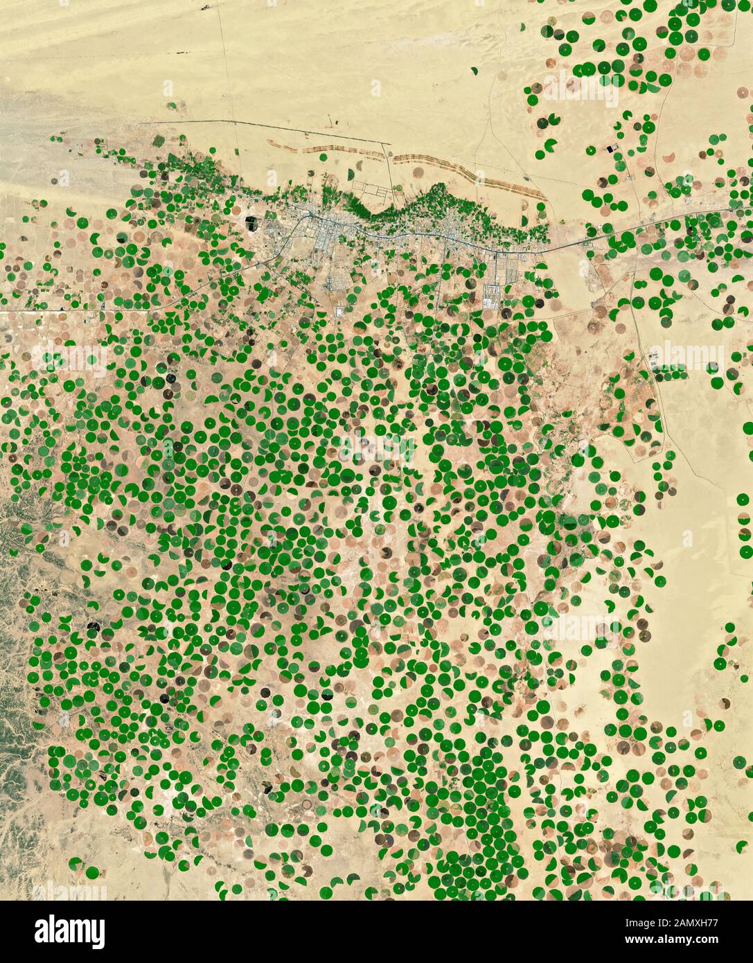 NASA satellite image green circles watered by irrigation in desert