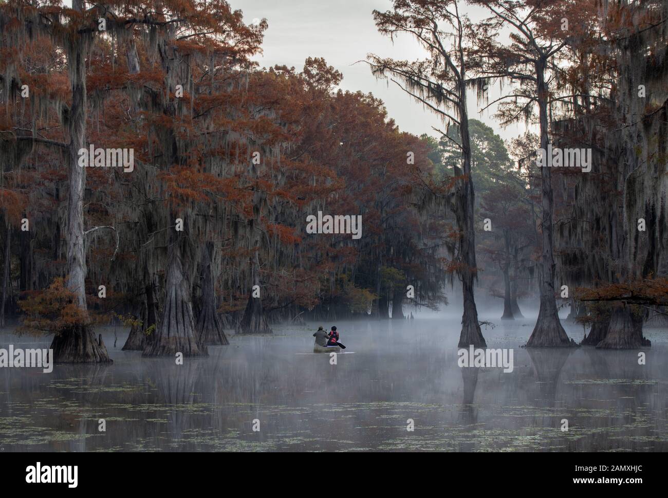 This is a picture of a couple canoing at Caddo Lake, Texas, Louisiana, USA Stock Photo