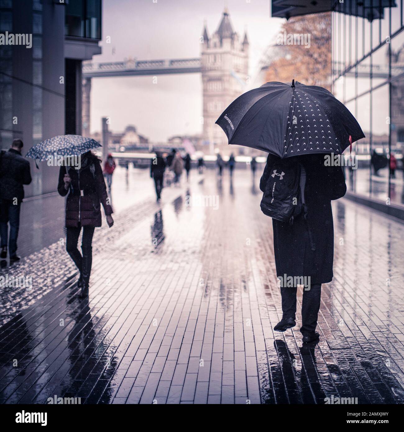 London commutors in heavy rain near Tower Bridge, London, UK  brave the weather and shelter under umbrellas Stock Photo