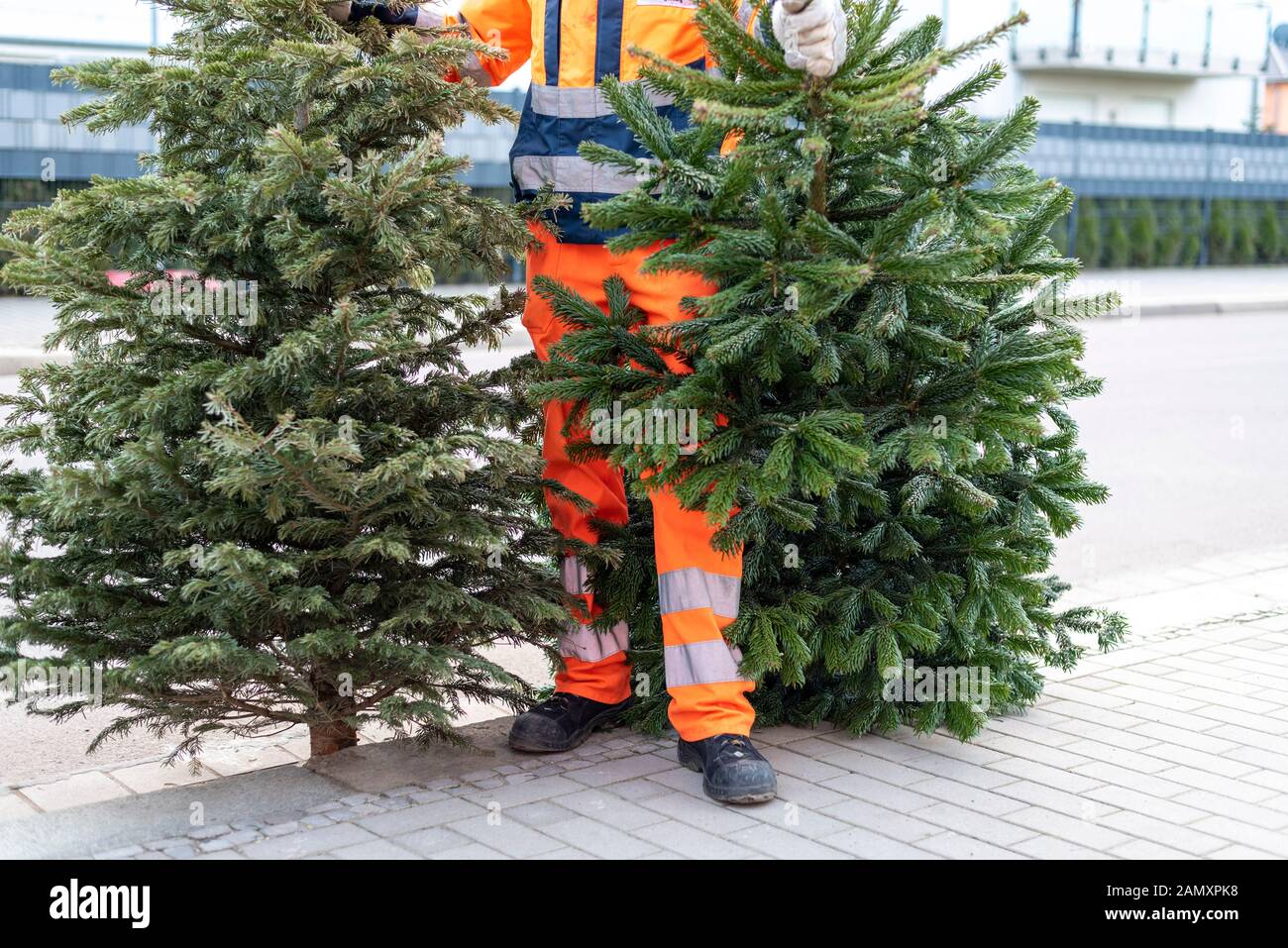 Magdeburg, Germany. 15th Jan, 2020. An employee of the municipal waste
