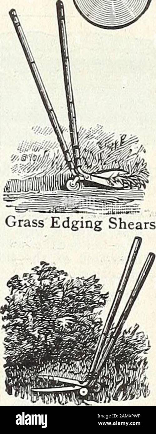 Curved Blade Of Grass High Resolution Stock Photography And Images Alamy