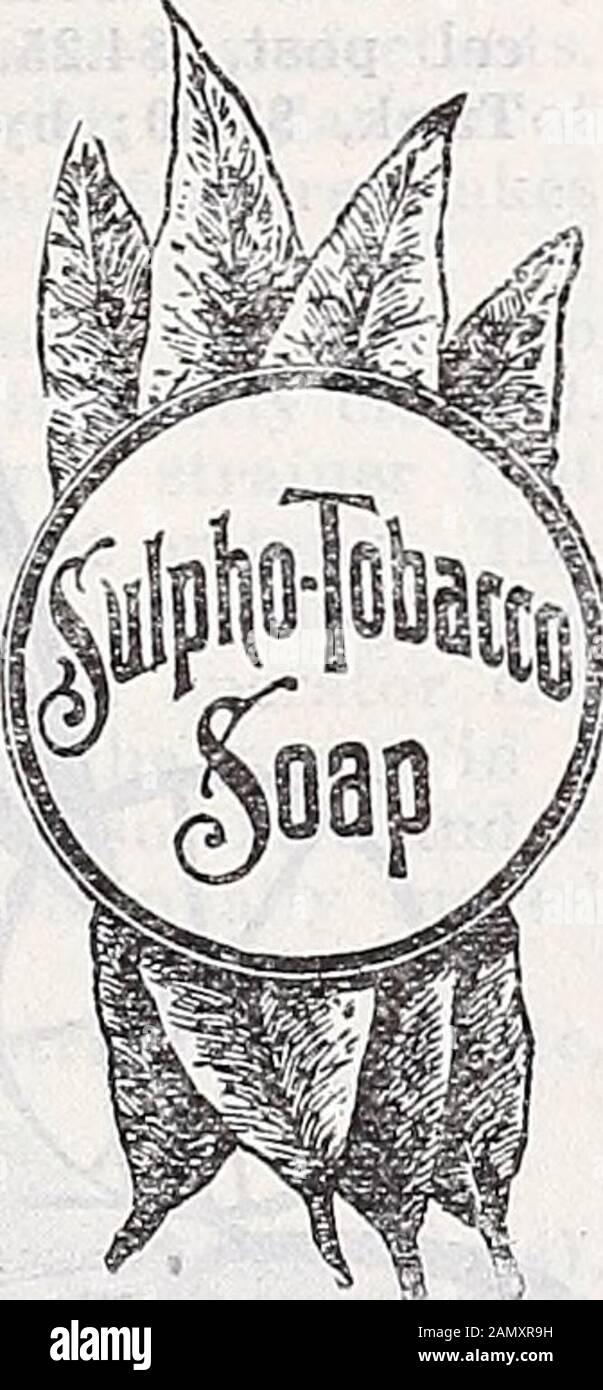 tobacco certificate Continental Tobacco Company Stock Certificate