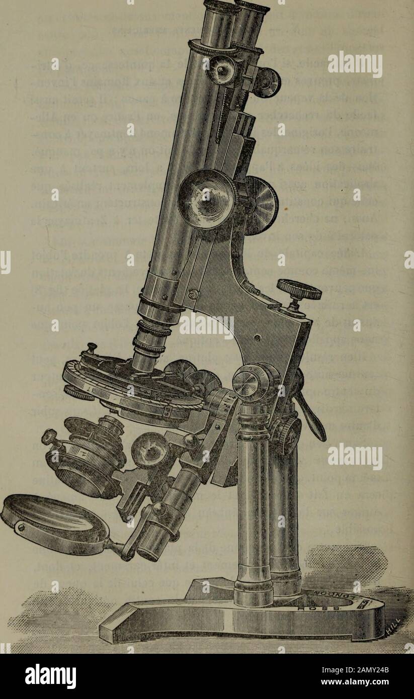 Bulletin Societe D'Histoire Naturelle de Toulouse (et de Midi Pyrenees). . 8)est terminée par une queue dont laxe passe un peu au-dessus de son plan, par le point où sera lobjet point quenous appellerons le centre optique. Il en résulte que si cette platine, au lieu dêtre fixe, peuttourner autour de son axe, cette rotation seffectuera autourdu centre optique et léclairage restant fixe, lobjet présen-tera ses diverses faces à la lumière et à lobjectif sans subirdautre mouvement que sa rotation. Si au lieu de faire tourner la platine dun petit angle onla renverse sens dessus dessous, lobjet sera Stock Photo