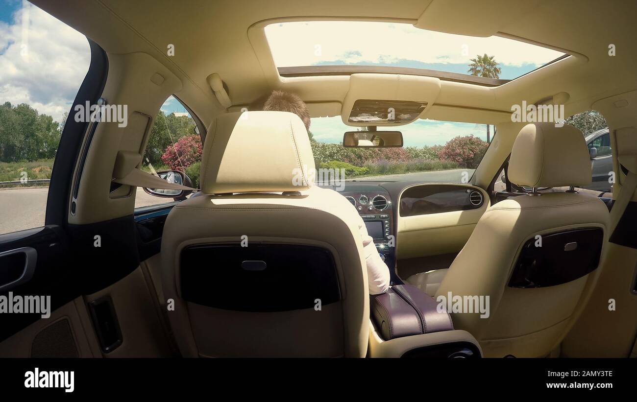 Male driving luxurious auto on sun-drenched street with flowers on roadsides Stock Photo