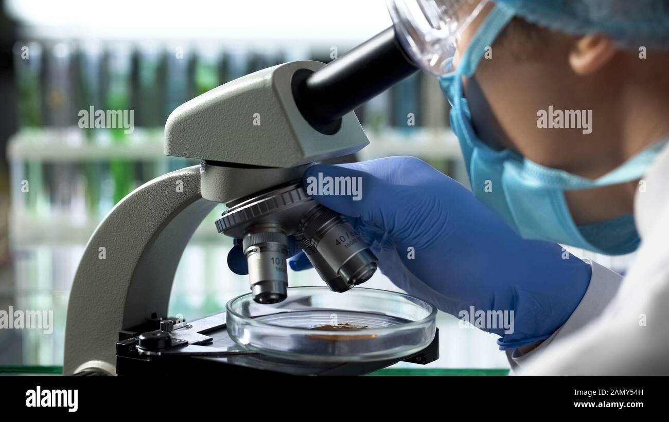 Food technologist studying foodstuff for gmo and harmful additives in laboratory Stock Photo