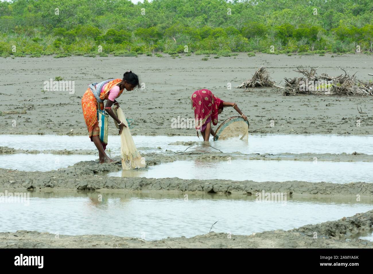 Amazing Indian Poor Dhuruba Tribe caste Young Women People Catching
