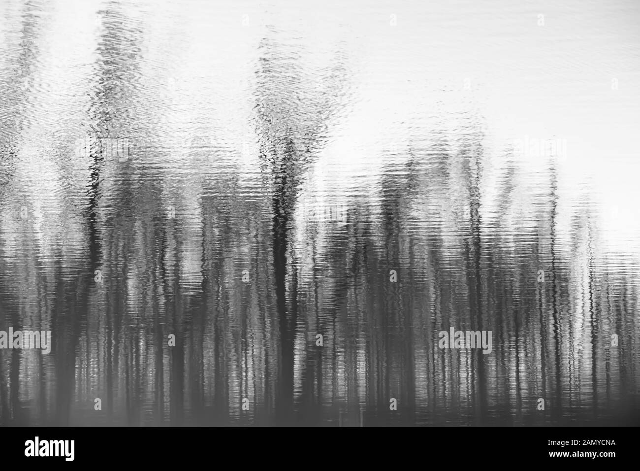 Abstract blurry dark river water reflection of the bare trees in a forest in black and white Stock Photo