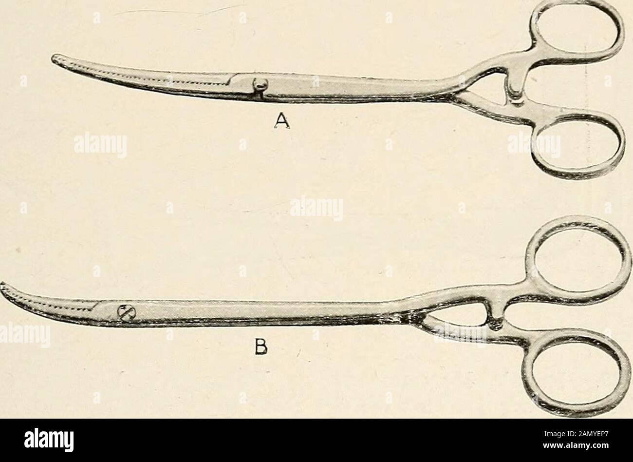 Gynaecology for students and practitioners . efore incising the ...