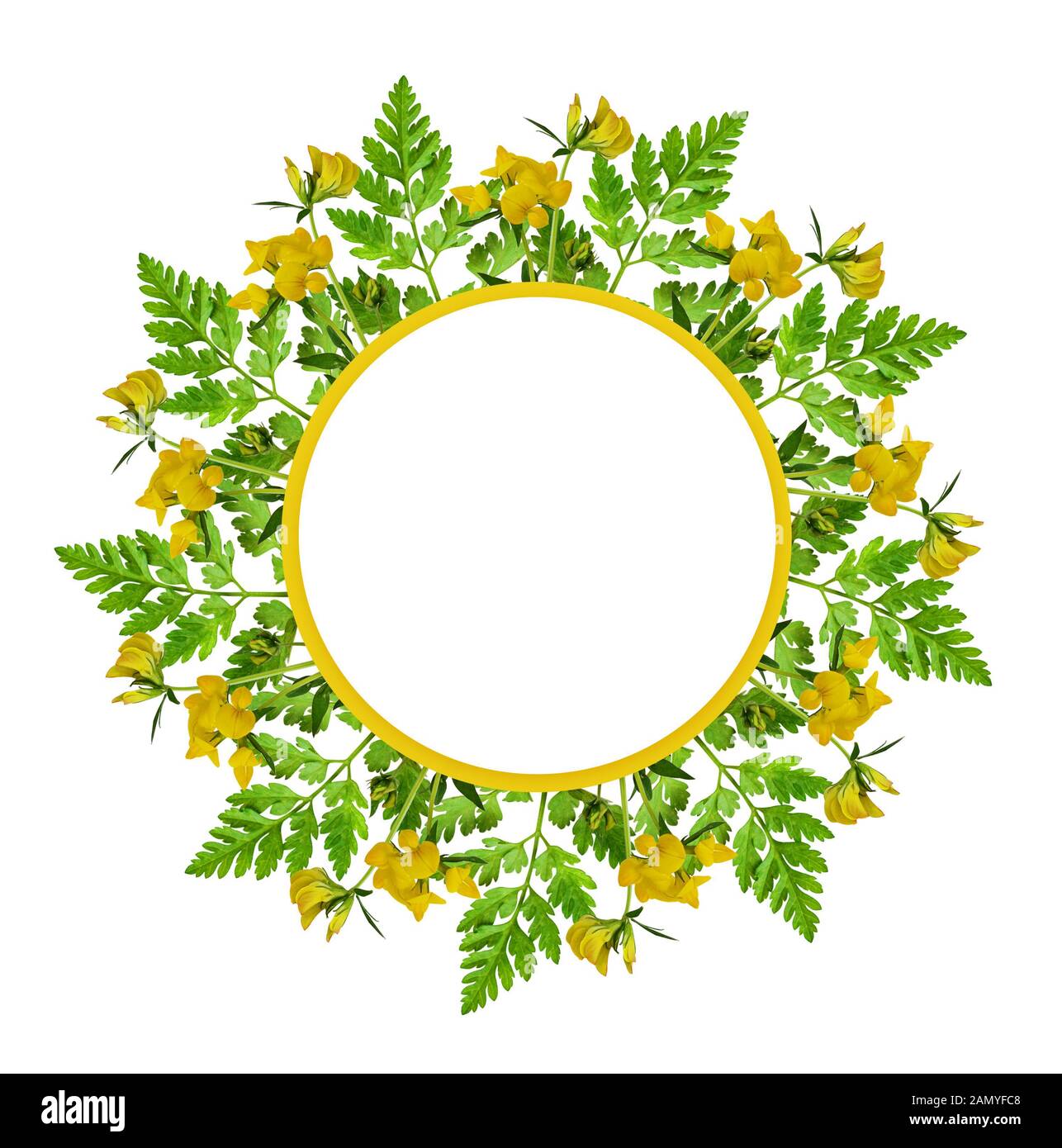 Wild flowers and leaves in a round frame isolated on white background ...