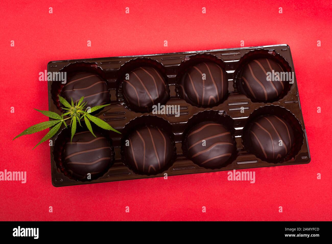 chocolate cookies with marshmallows and marijuana. cannabis cookies top