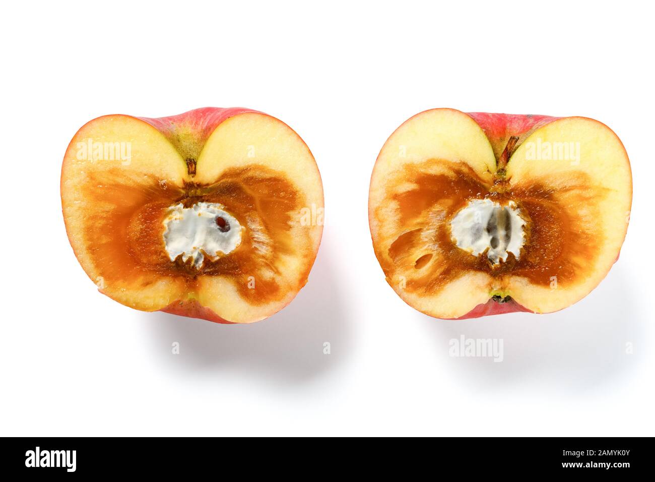 cut out badly overripe apple with moldy core on white background Stock
