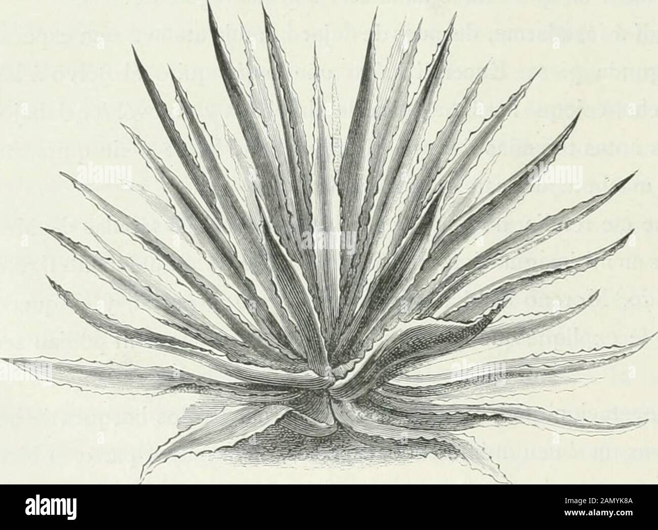 clima en nuevo méxico