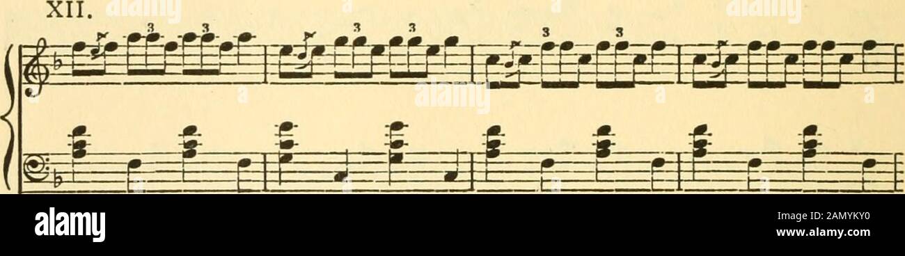 Analysis of the evolution of musical forms . XI. f^r^-f-^^ ^-^ P m^ m^ =p=r=^ gg ^ =g-:rr-=-Tg^ tst --t—ll^ ^^^^^ m. J f-^ gE=^g=r_L=r.iL_zc=rEEai 6*. gi^g^^^^3=^gif-T^Tfai Here ends The Prelude to the Salt, which used to be performed before theknights of King Arthur, when the Salter was placed upon the board. GLOSSARY OF TECHNICAL TERMSUSED IN THIS WORK This mark (*) indicates jicw or partially ?iew terms,or the new use of a term. Absolute Pitch . . Actual pitch according to a given number of vibrations. Accent Stress. Accidental The written inflection of a note by semitone. Alto The upper mi Stock Photo