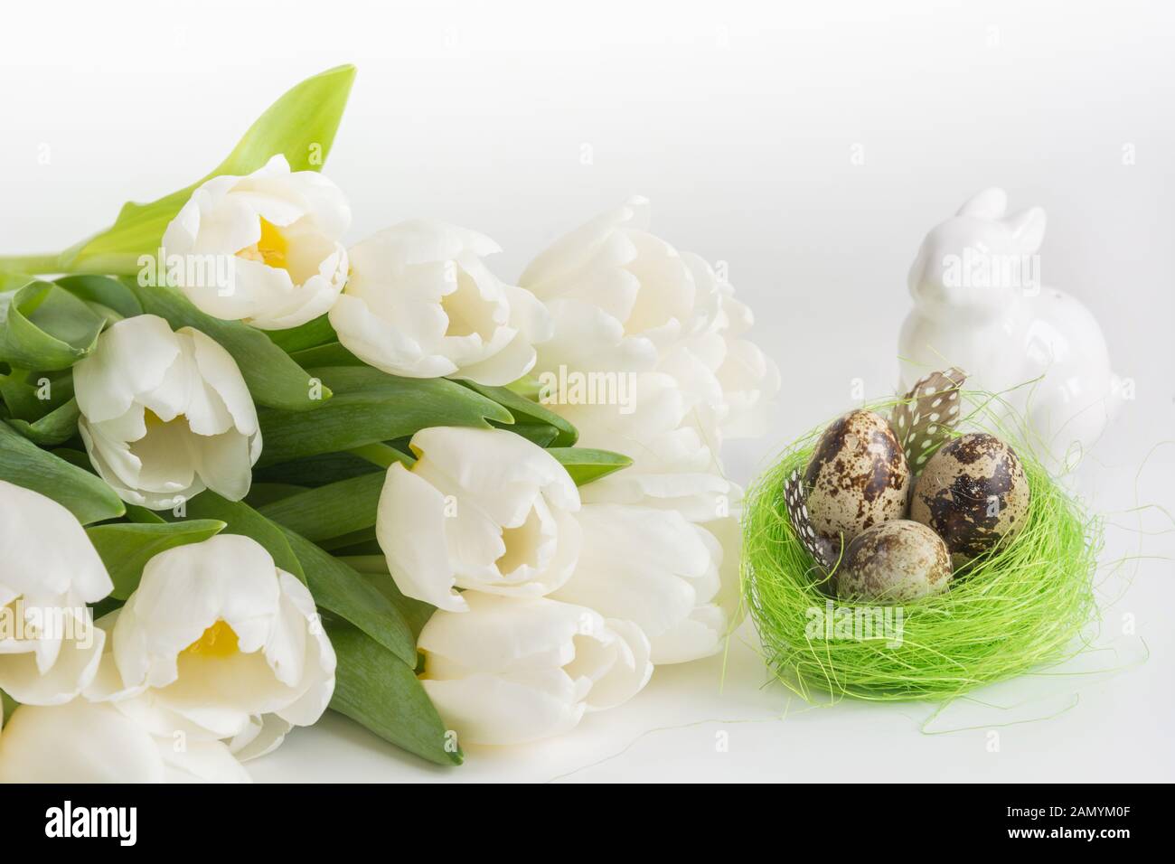 Easter composition. White tulips, quail eggs in nest on white. Space for text. Stock Photo