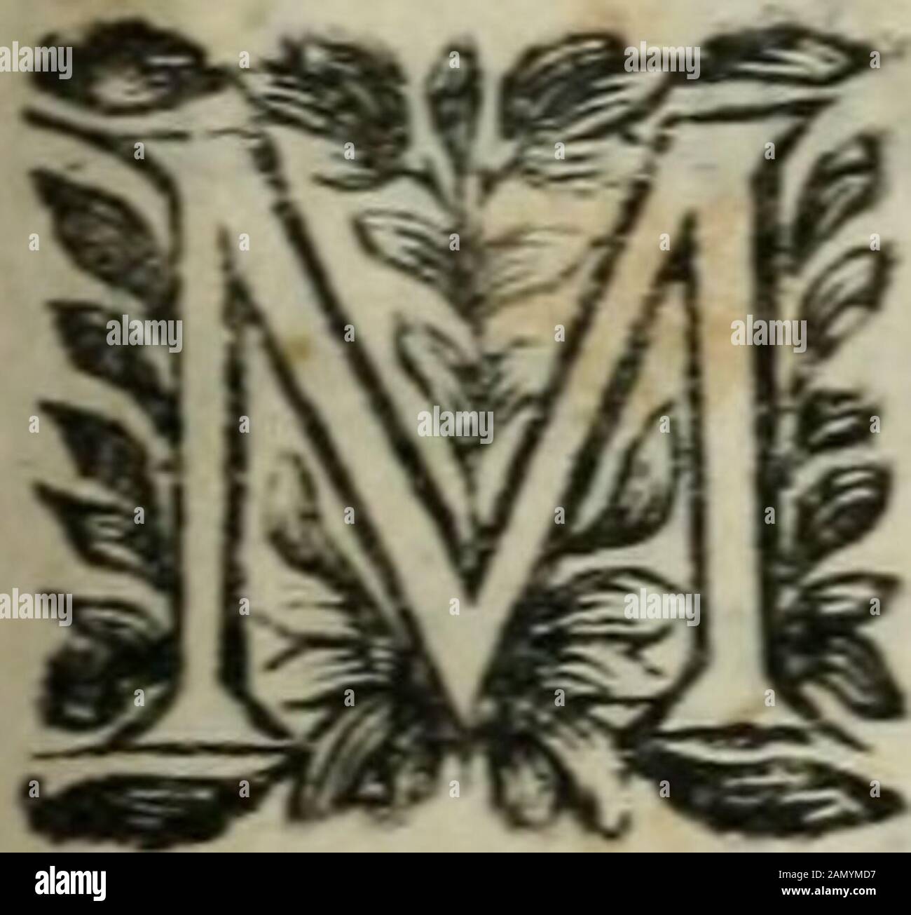 La Lettre U High Resolution Stock Photography And Images Alamy