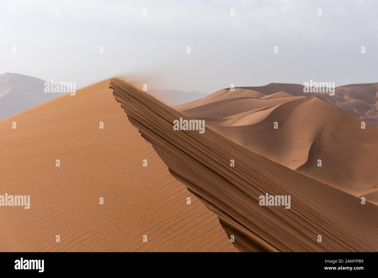 the formation of sand dunes in dasht e lut or sahara desert with plants ...